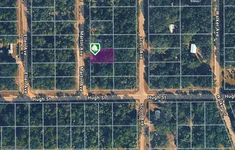 Lot 12 Martin Avenue Interlachen FL 32148