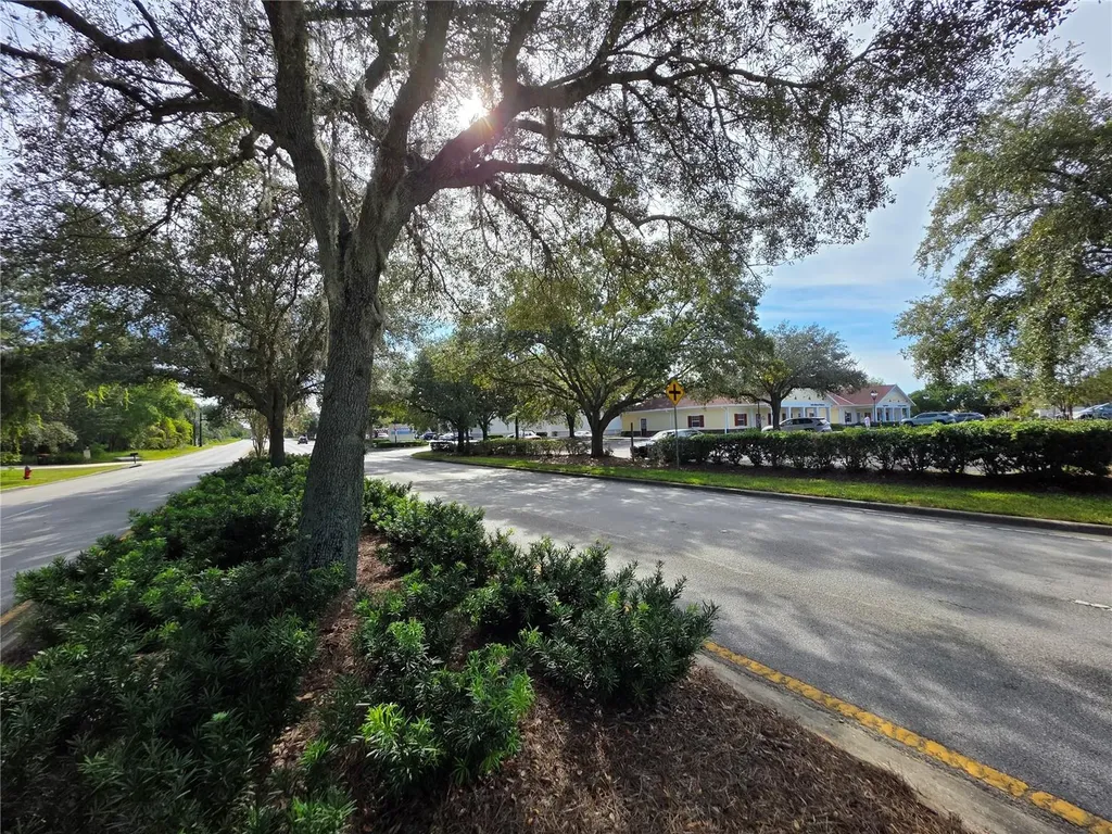 Tbd Highway 42 Summerfield FL 34491