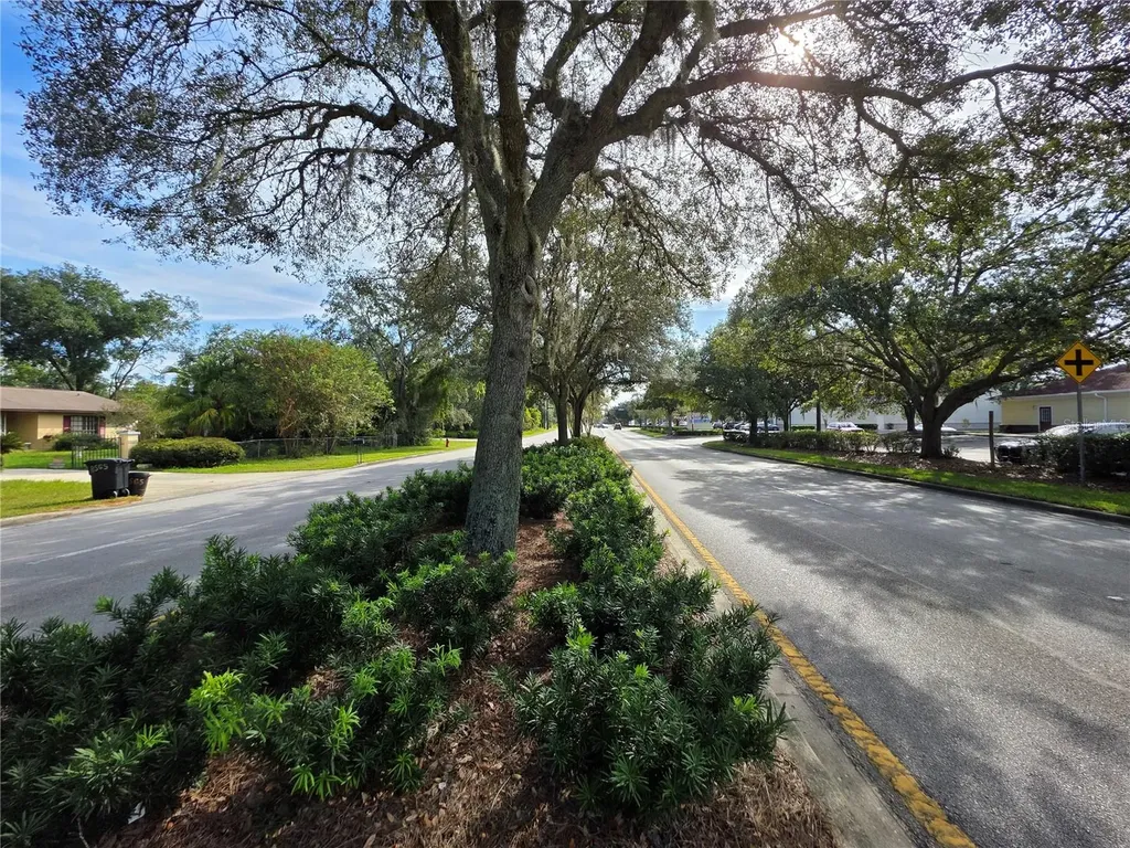 Tbd Highway 42 Summerfield FL 34491