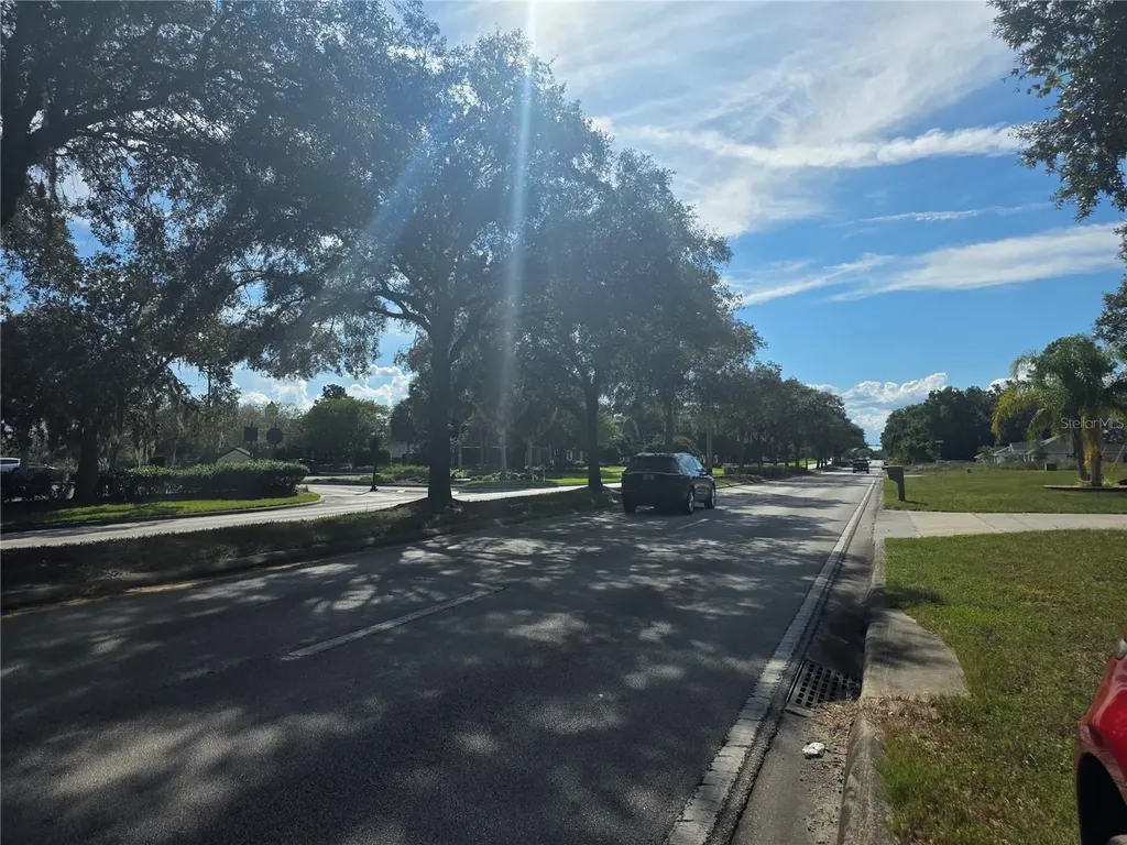 Tbd Highway 42 Summerfield FL 34491