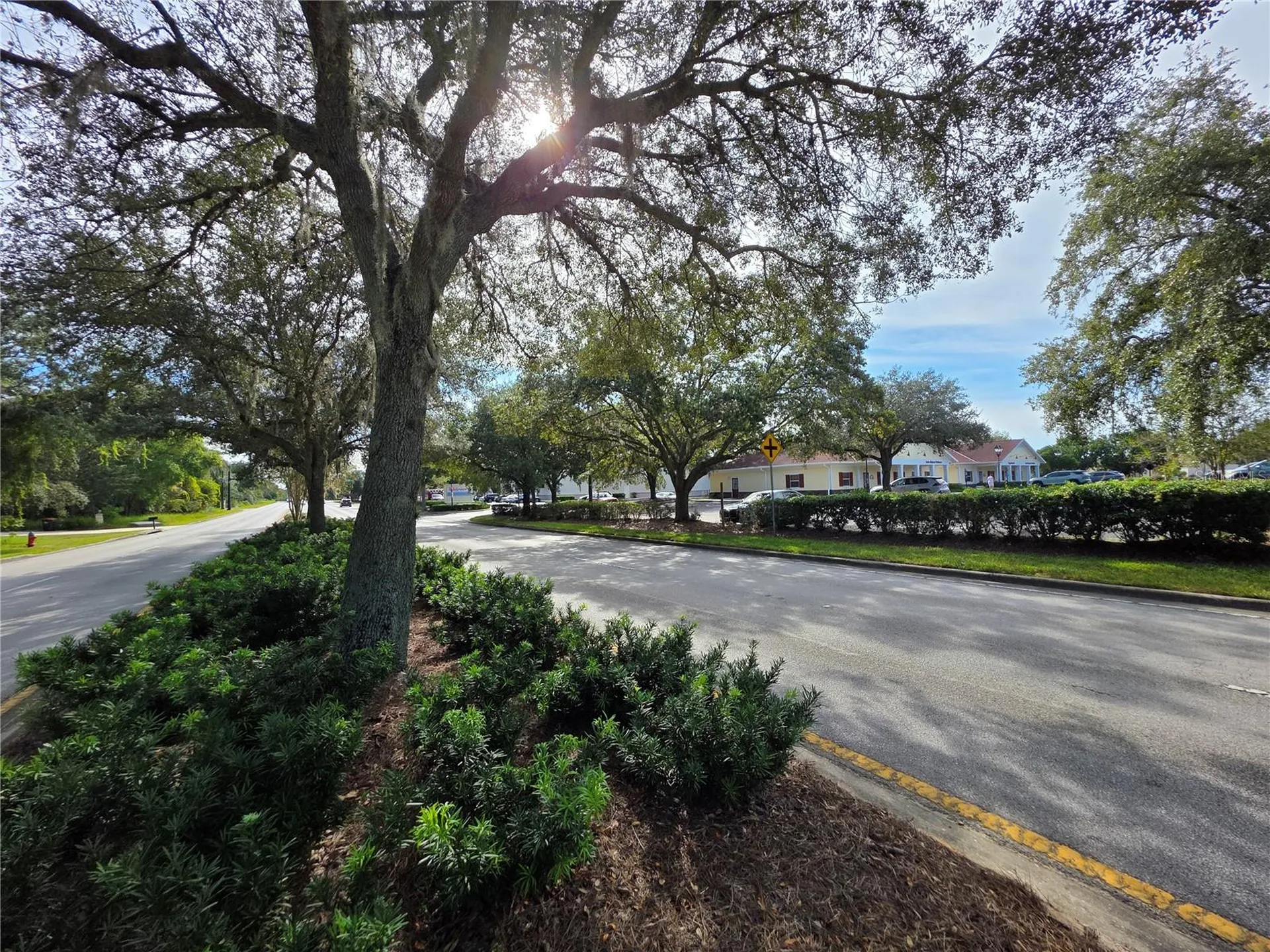 Tbd Highway 42 Summerfield FL 34491