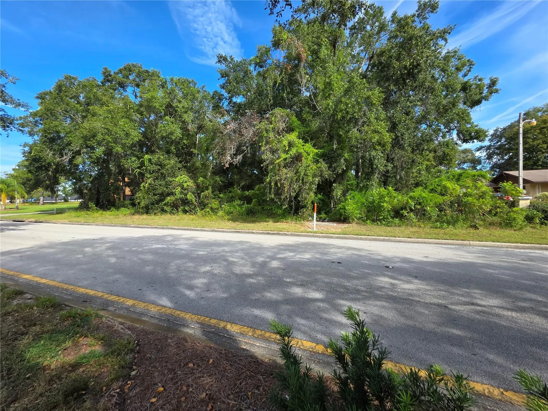 Tbd Highway 42 Summerfield FL 34491