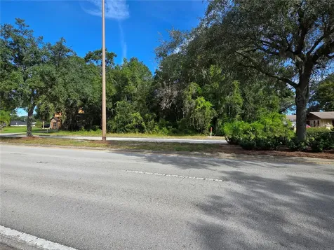 Tbd Highway 42 Summerfield FL 34491