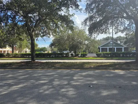 Tbd Highway 42 Summerfield FL 34491