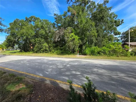 Tbd Highway 42 Summerfield FL 34491