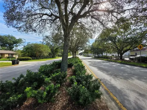 Tbd Highway 42 Summerfield FL 34491