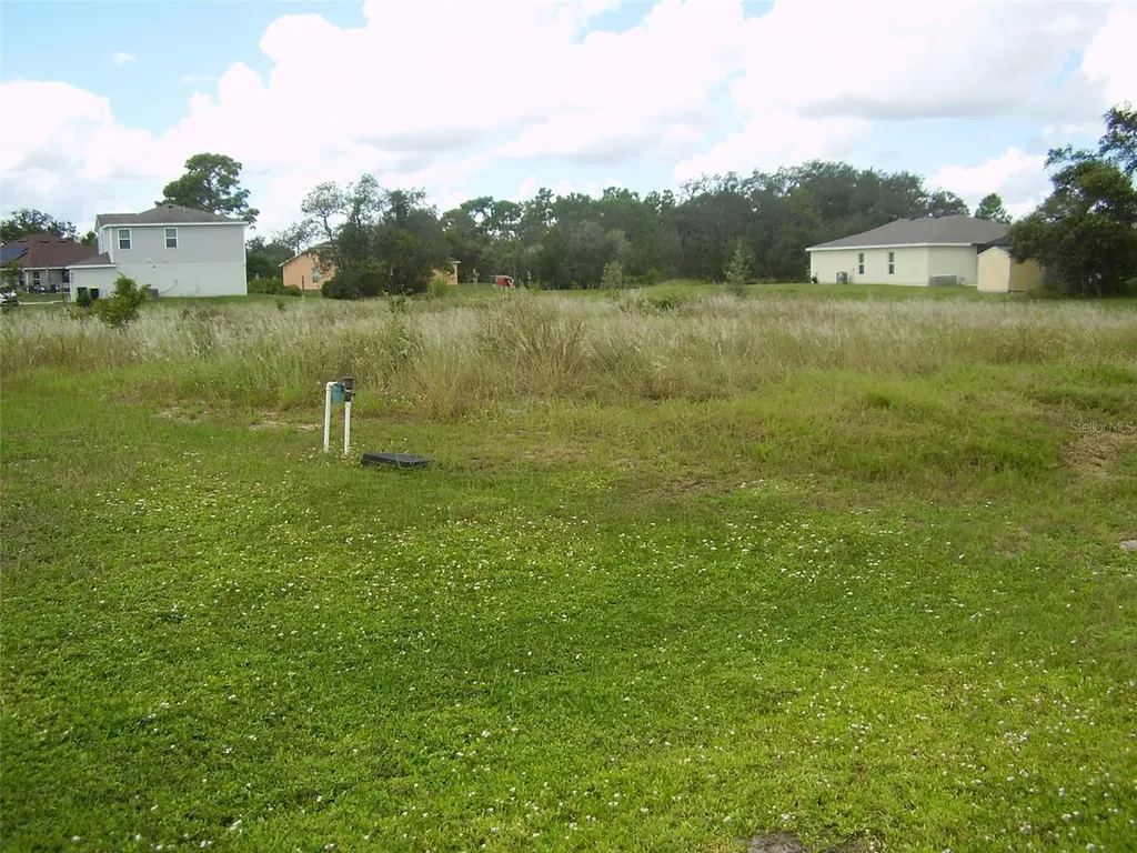 1943 Manatee Drive Kissimmee FL 34759