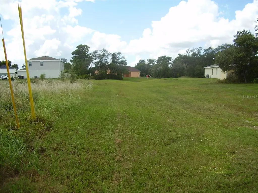 1943 Manatee Drive Kissimmee FL 34759