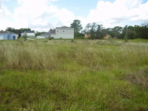 1943 Manatee Drive Kissimmee FL 34759