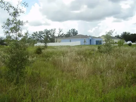 1943 Manatee Drive Kissimmee FL 34759