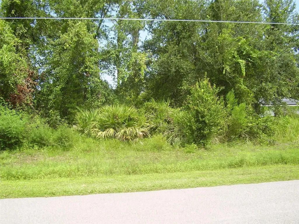 431 Dove Drive Kissimmee FL 34759