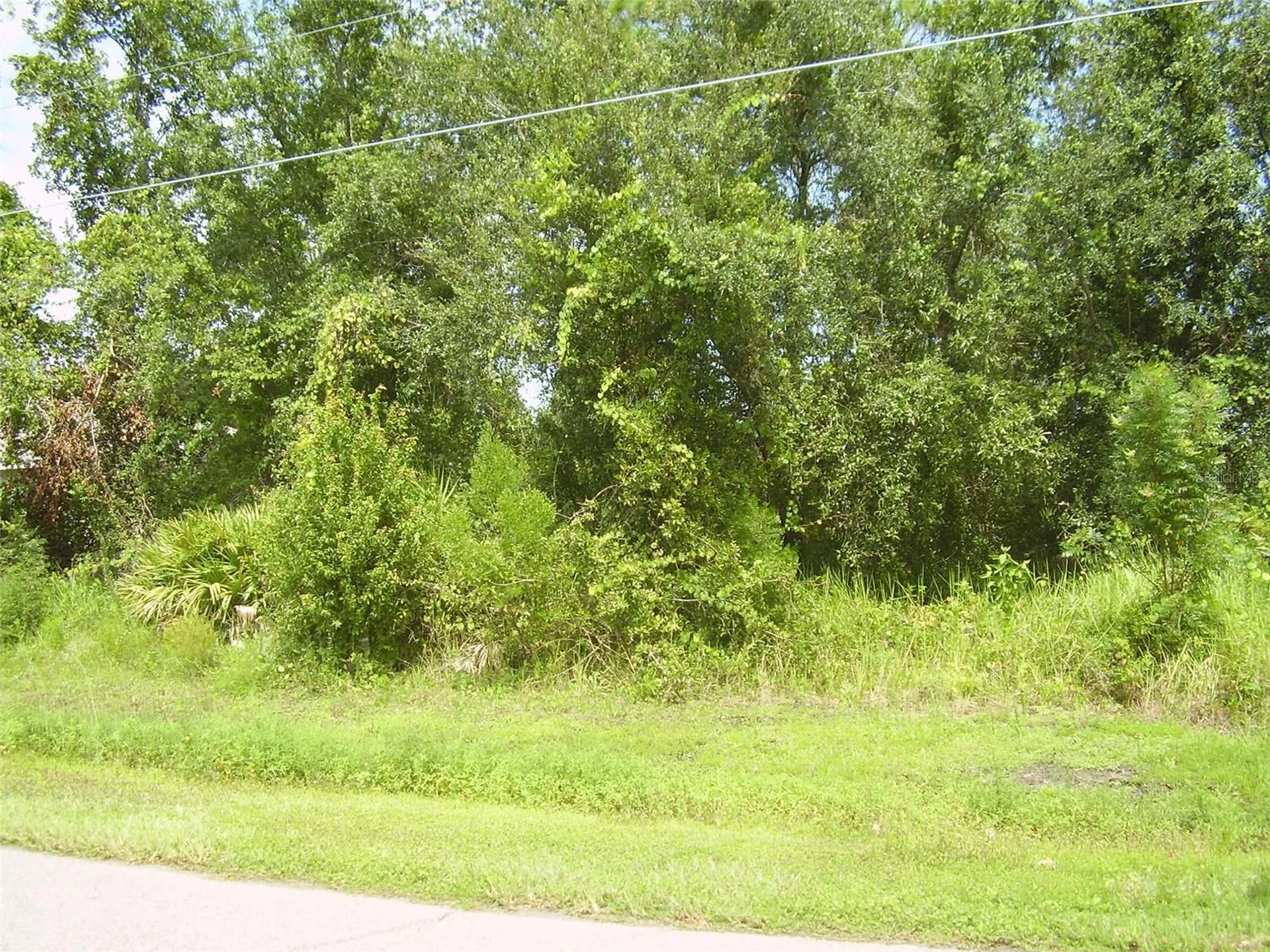 431 Dove Drive Kissimmee FL 34759