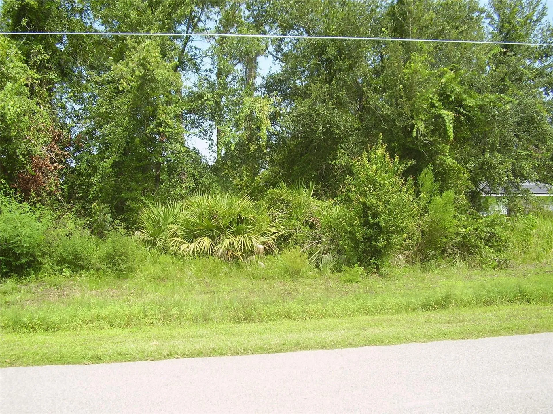 431 Dove Drive Kissimmee FL 34759