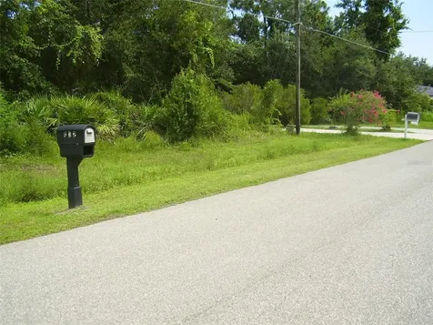 431 Dove Drive Kissimmee FL 34759