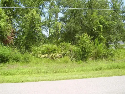 431 Dove Drive Kissimmee FL 34759