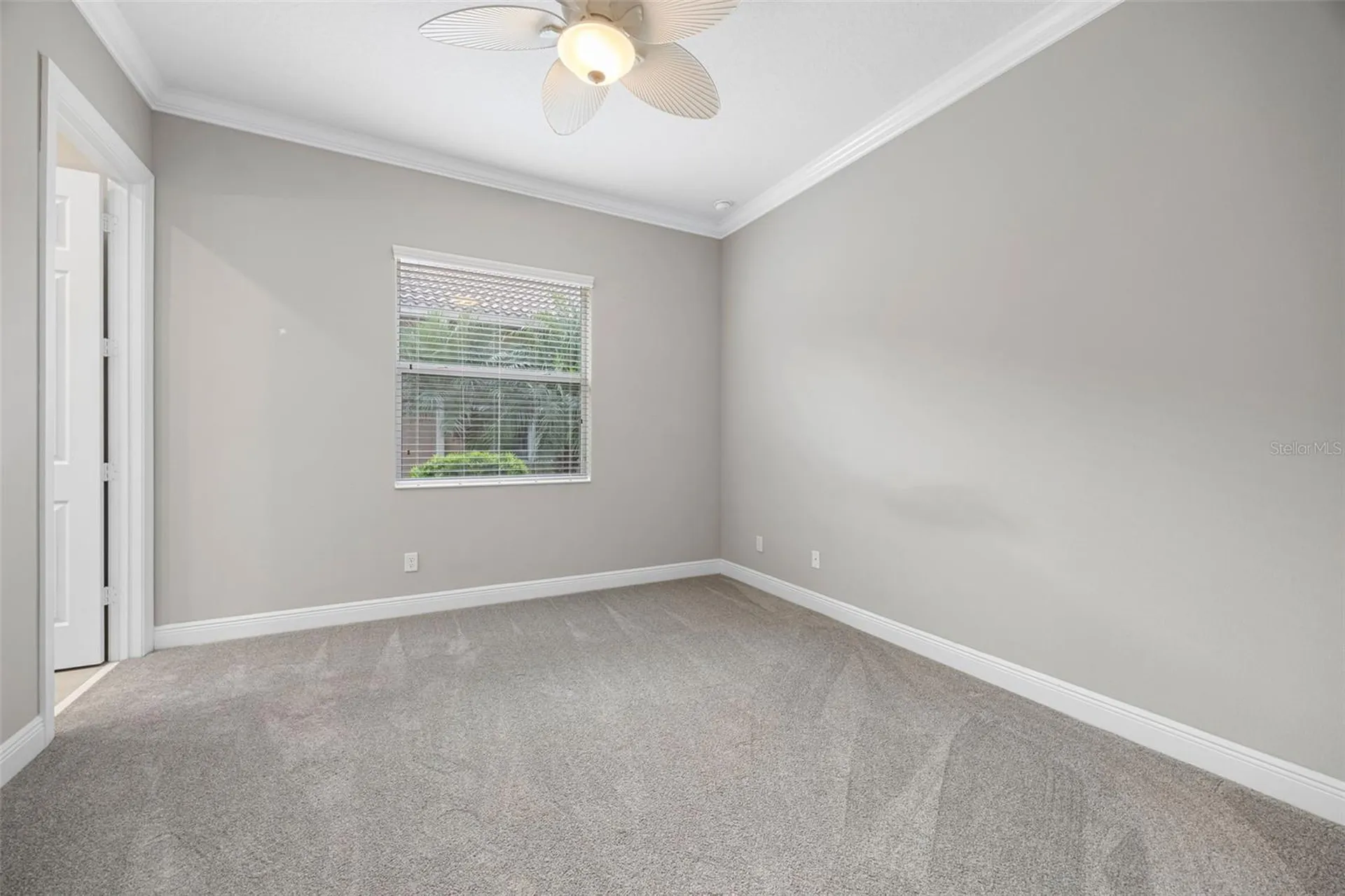 16005 Cape Coral Drive Wimauma FL 33598