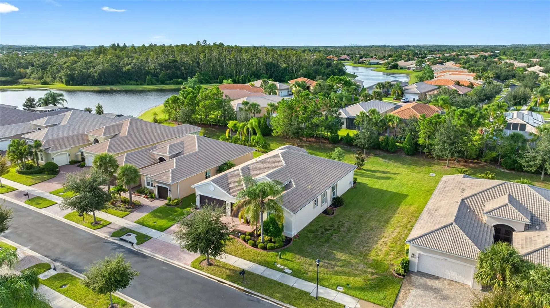 16005 Cape Coral Drive Wimauma FL 33598