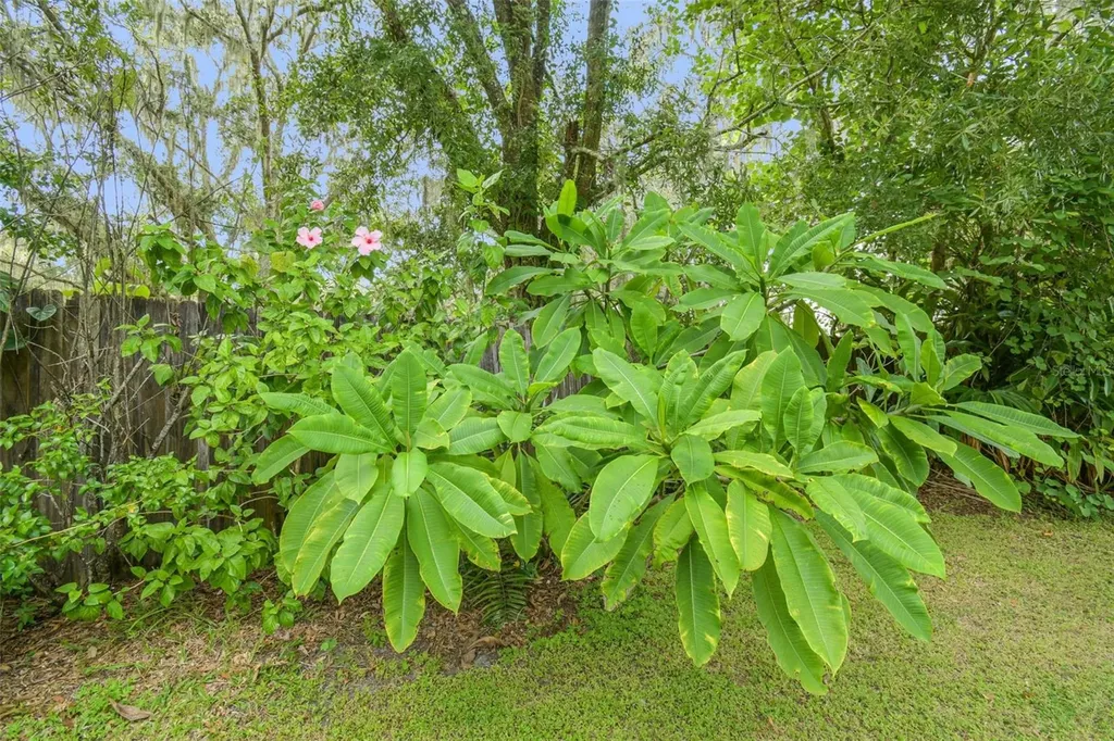 5504 Bruton Road Plant City FL 33565