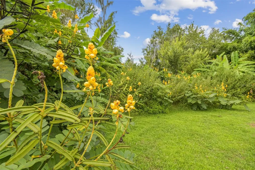 5504 Bruton Road Plant City FL 33565