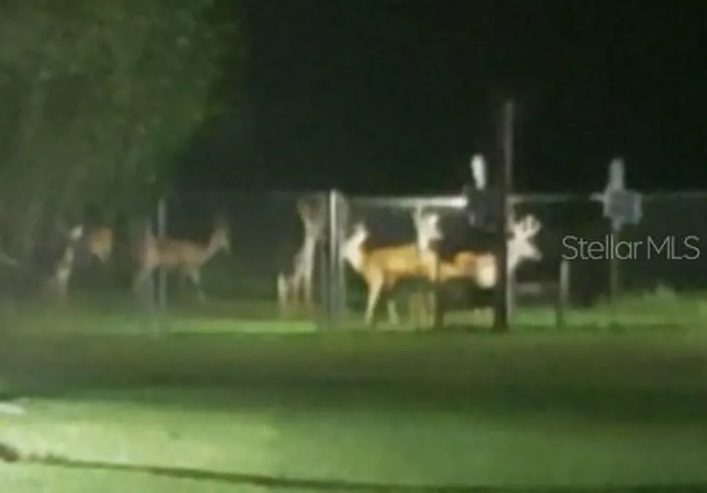 5504 Bruton Road Plant City FL 33565