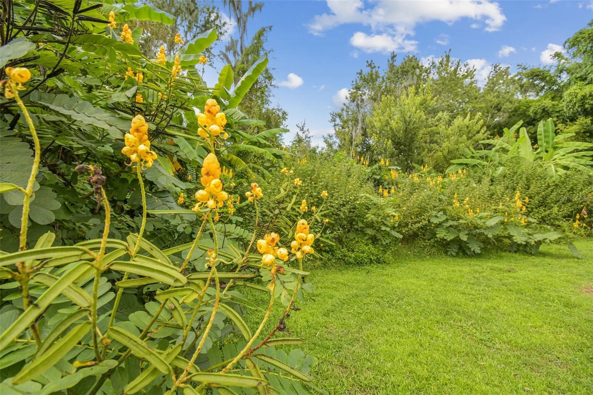 5504 Bruton Road Plant City FL 33565