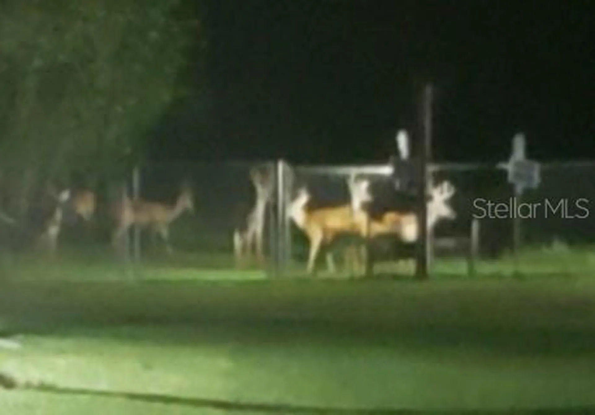 5504 Bruton Road Plant City FL 33565