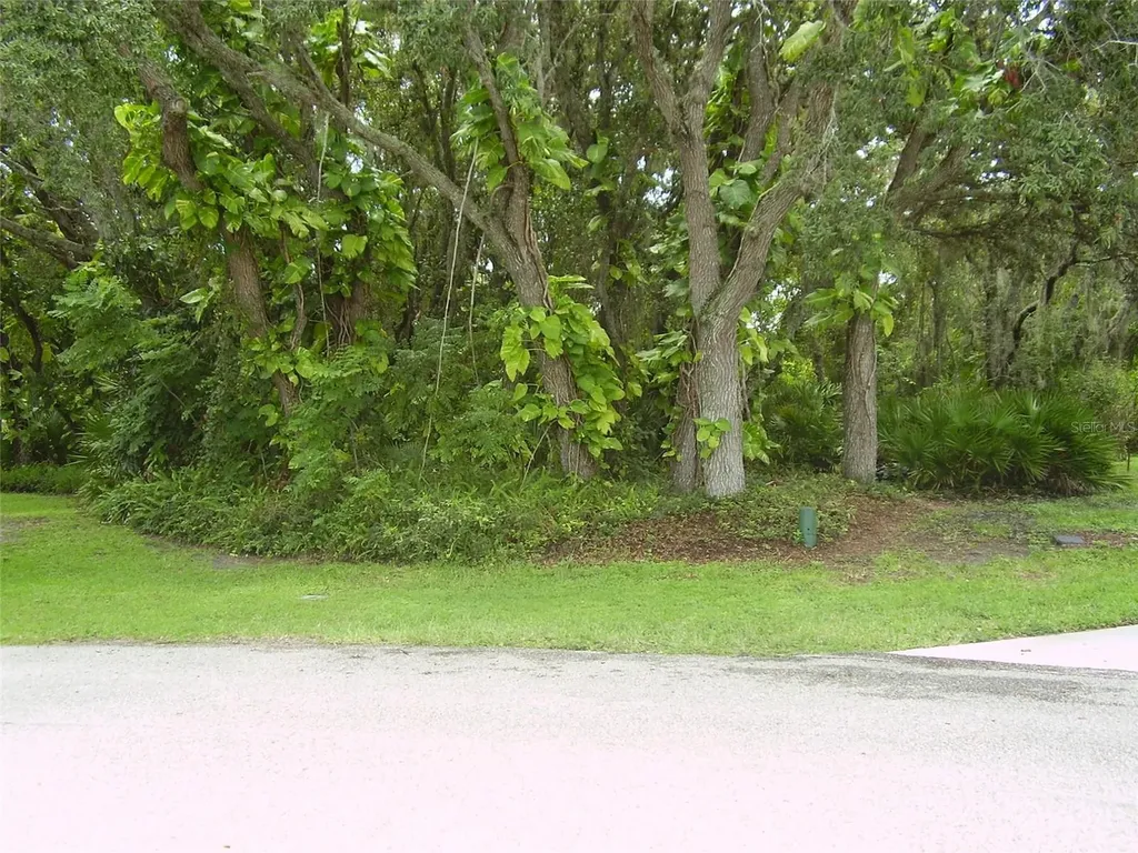 410 Anise Place Kissimmee FL 34759