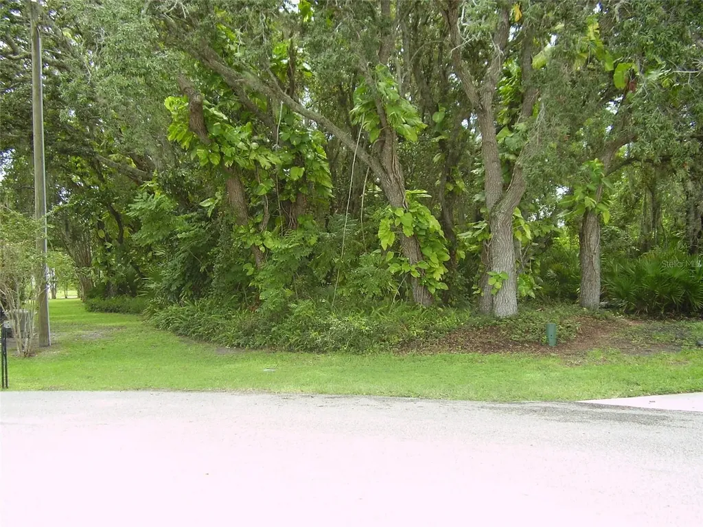410 Anise Place Kissimmee FL 34759