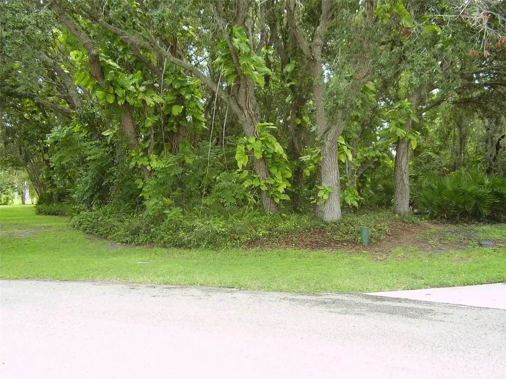 410 Anise Place Kissimmee FL 34759