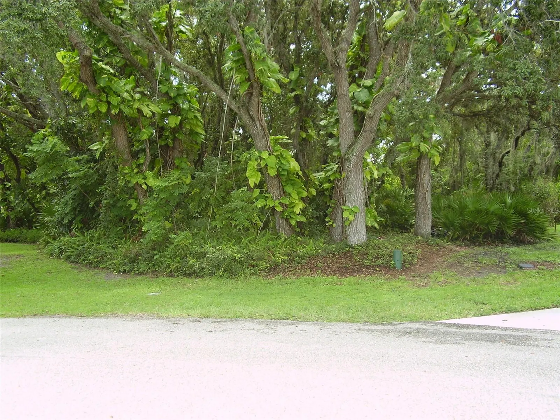 410 Anise Place Kissimmee FL 34759