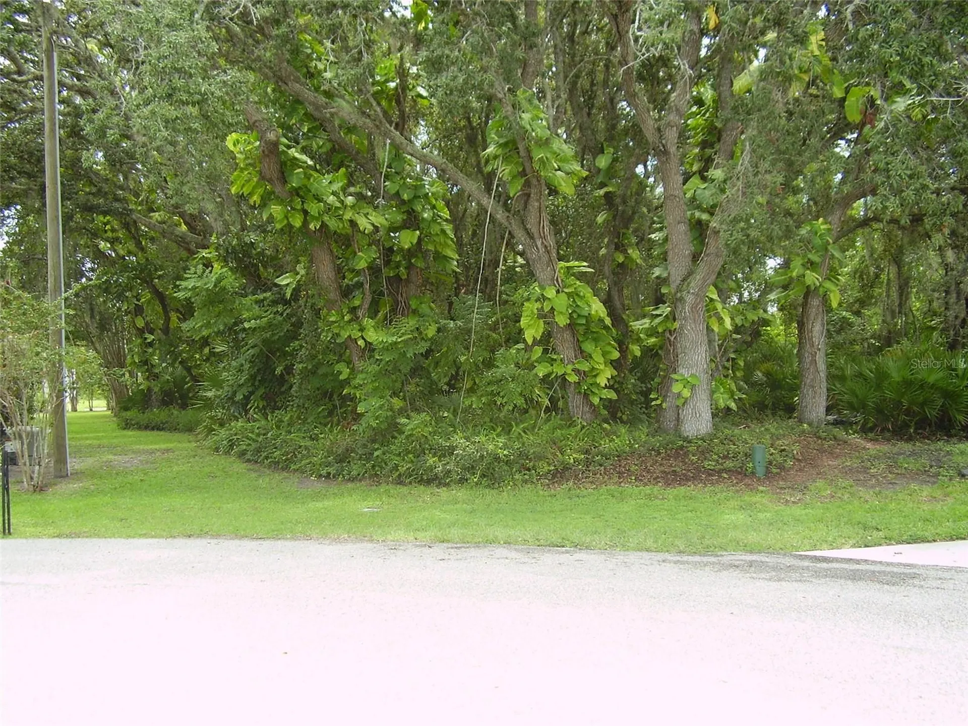 410 Anise Place Kissimmee FL 34759