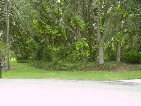 410 Anise Place Kissimmee FL 34759