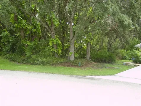 410 Anise Place Kissimmee FL 34759