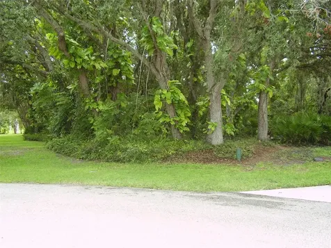 410 Anise Place Kissimmee FL 34759