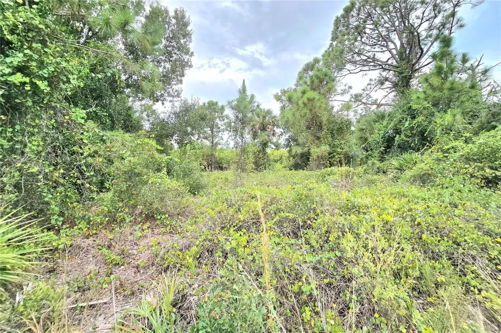 10382 Deerwood Avenue Englewood FL 34224