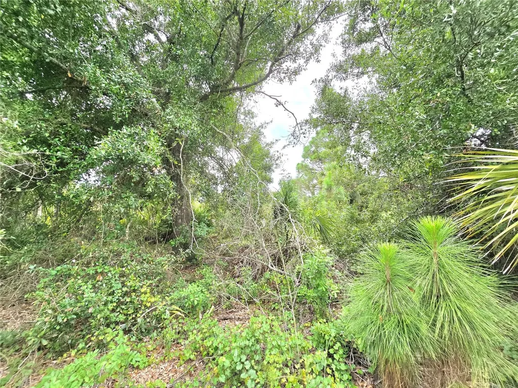 10382 Deerwood Avenue Englewood FL 34224