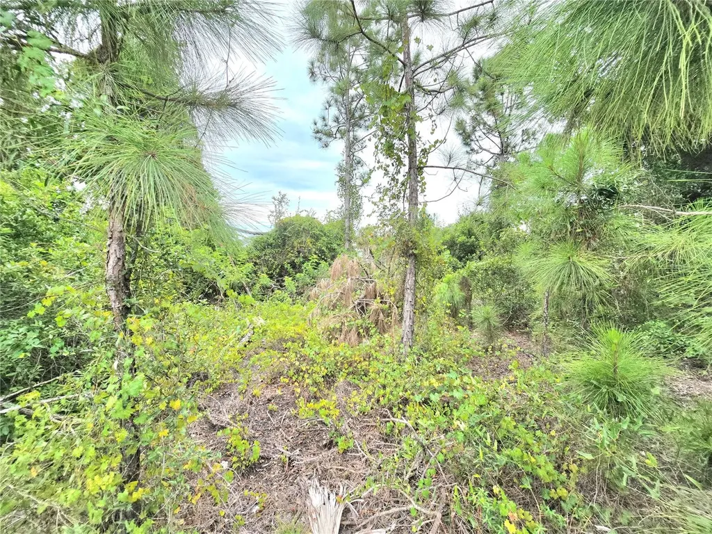10382 Deerwood Avenue Englewood FL 34224