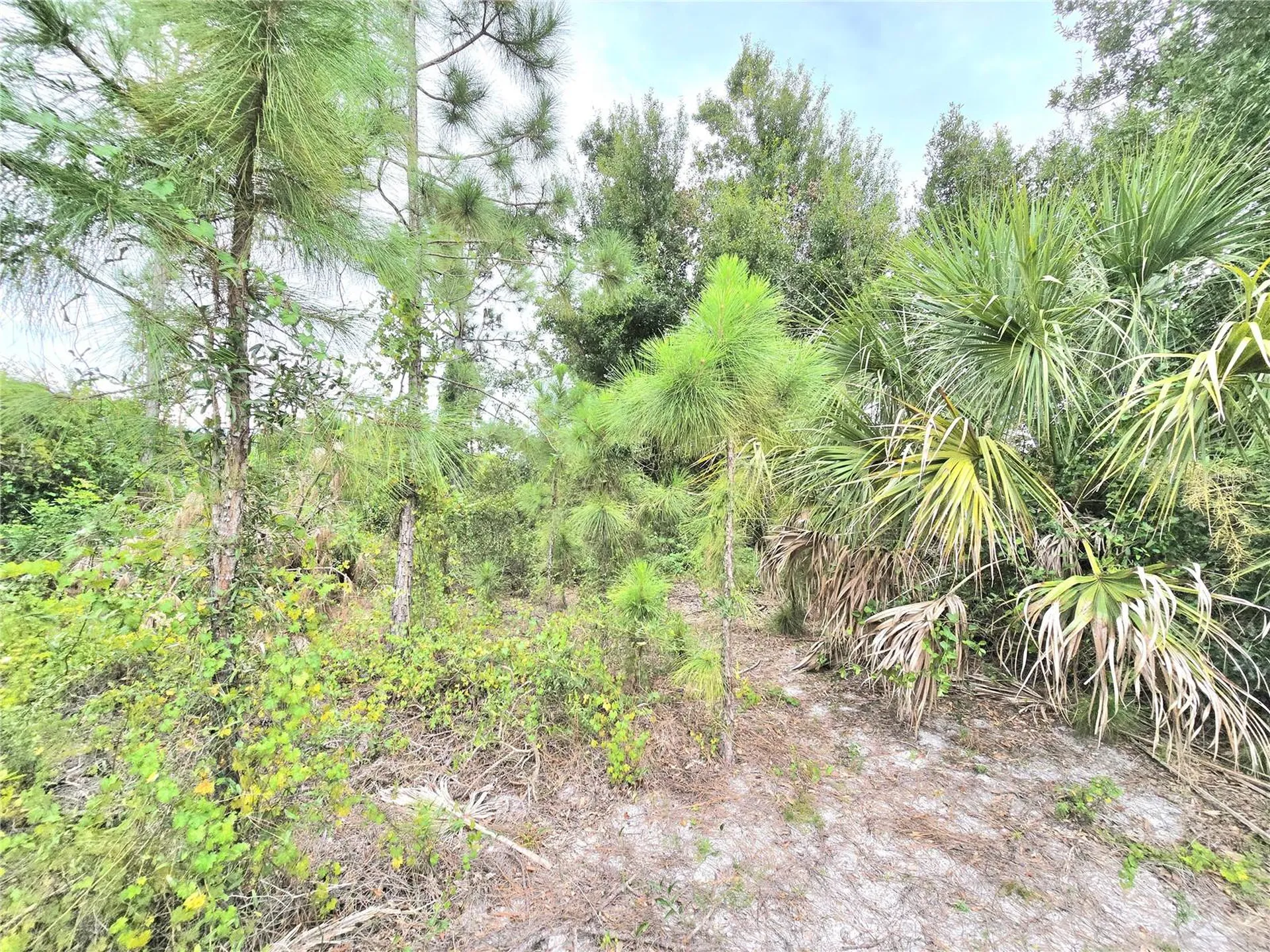 10382 Deerwood Avenue Englewood FL 34224