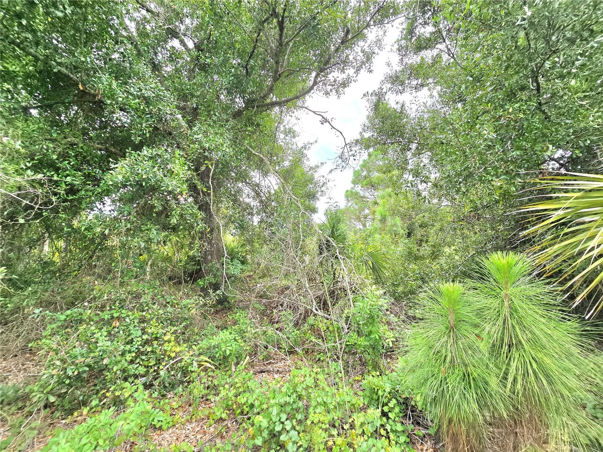 10382 Deerwood Avenue Englewood FL 34224