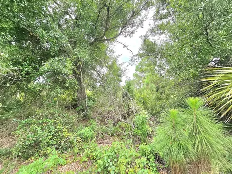 10382 Deerwood Avenue Englewood FL 34224