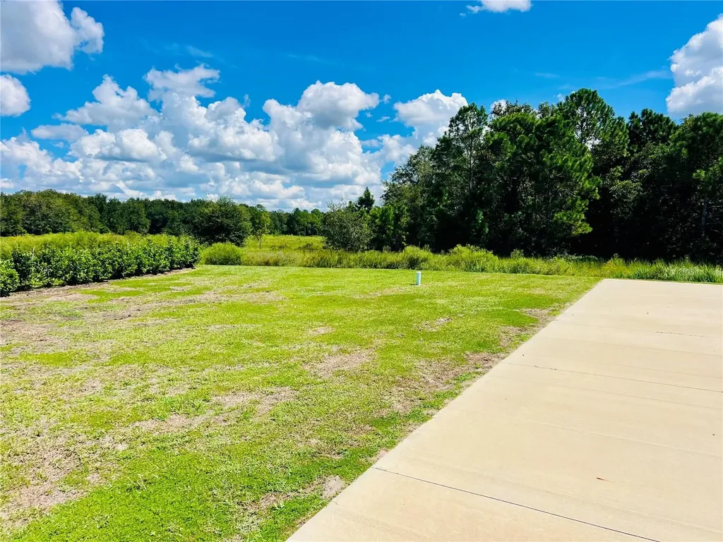 4813 SE 92nd Boulevard Webster FL 33597