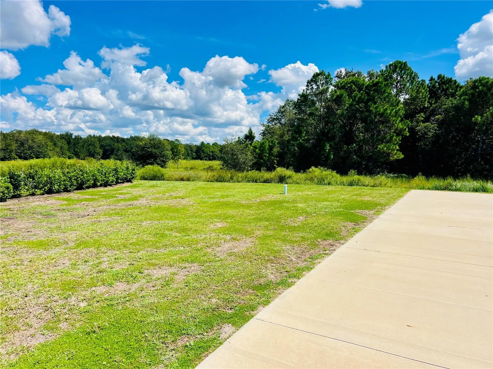4813 SE 92nd Boulevard Webster FL 33597