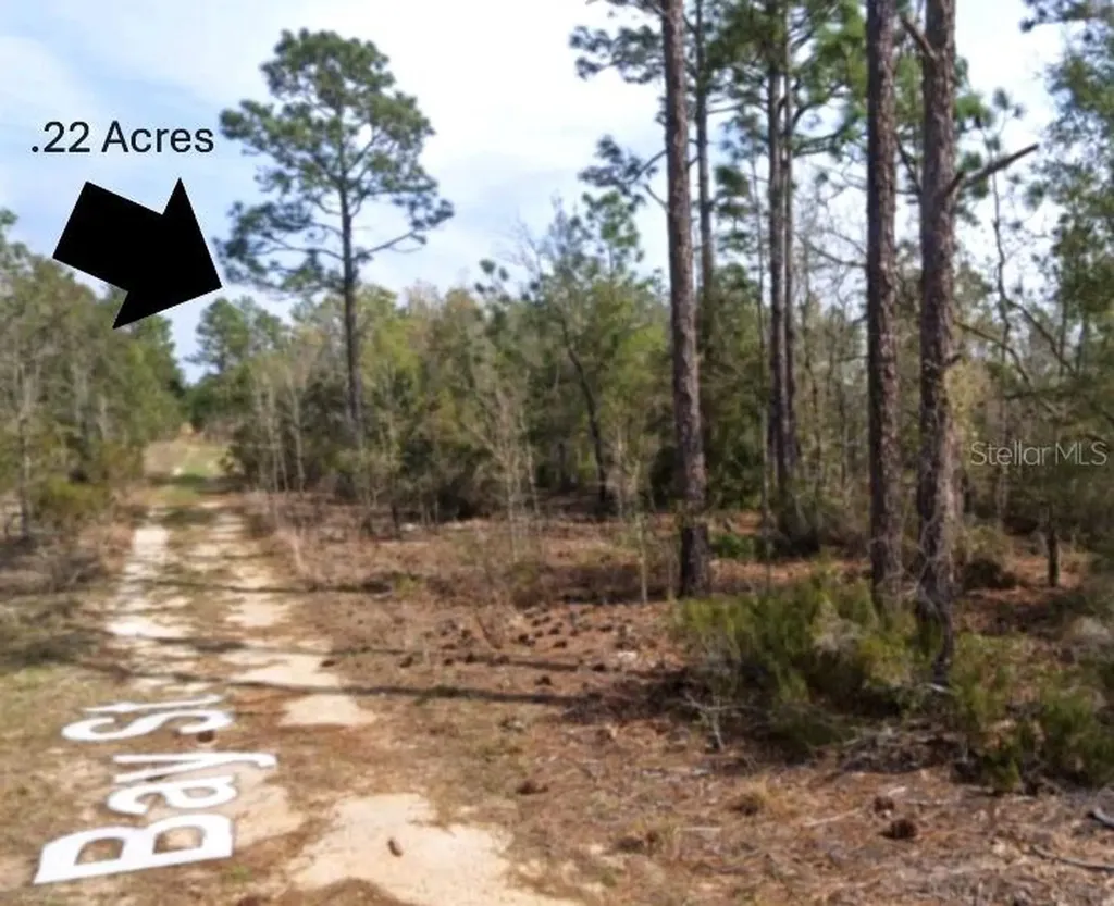 Xx Bay Street Interlachen FL 32148