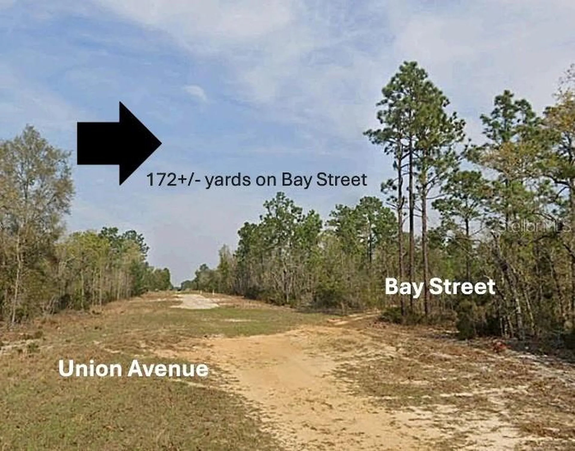 Xx Bay Street Interlachen FL 32148