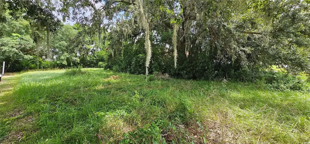 Pine Island Drive Leesburg FL 34788