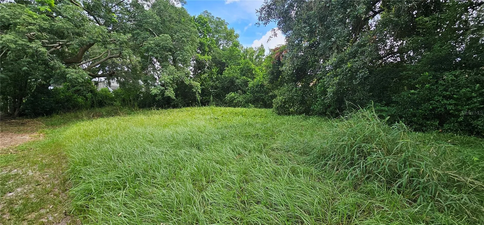 Pine Island Drive Leesburg FL 34788
