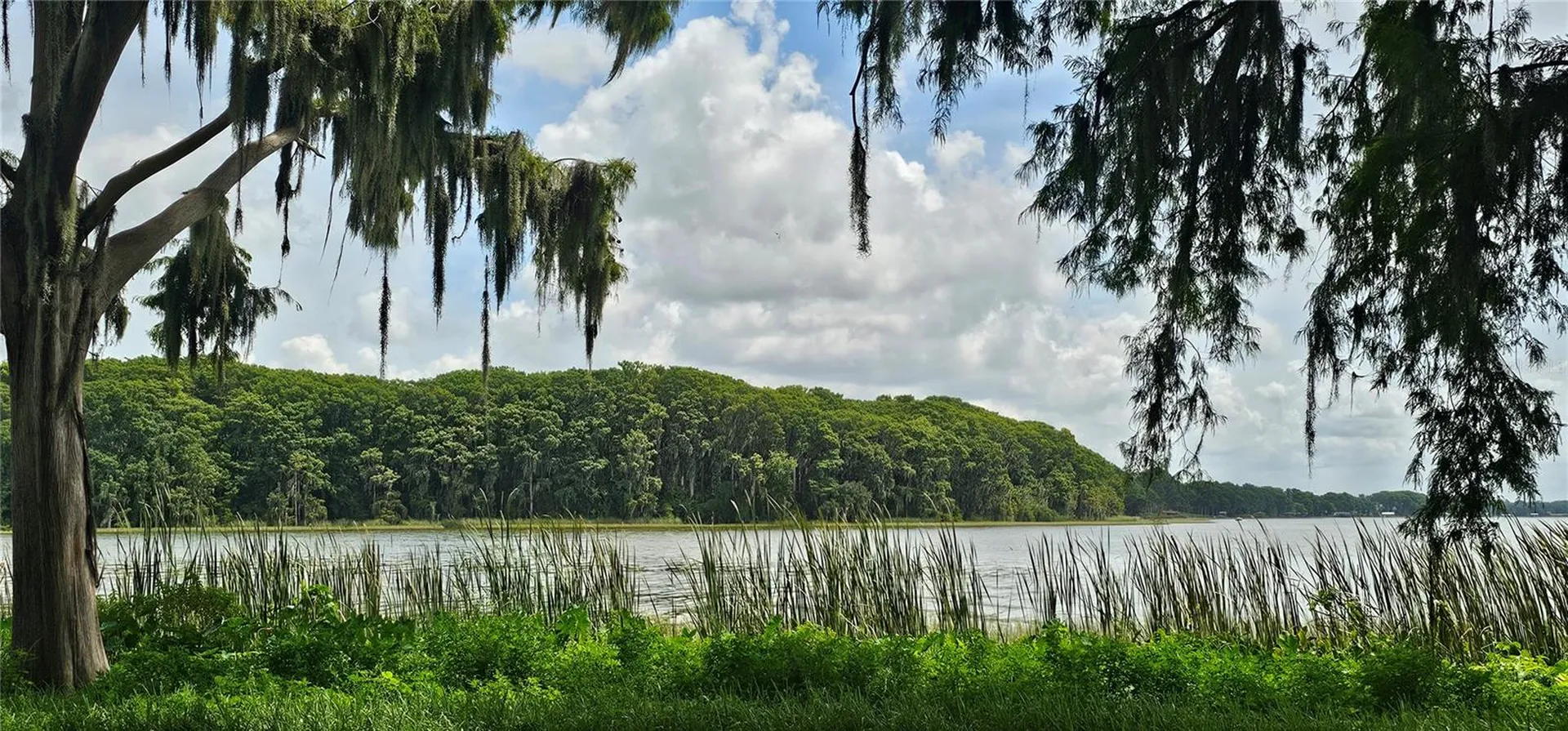 Pine Island Drive Leesburg FL 34788
