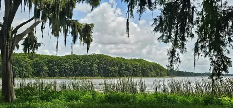 Pine Island Drive Leesburg FL 34788