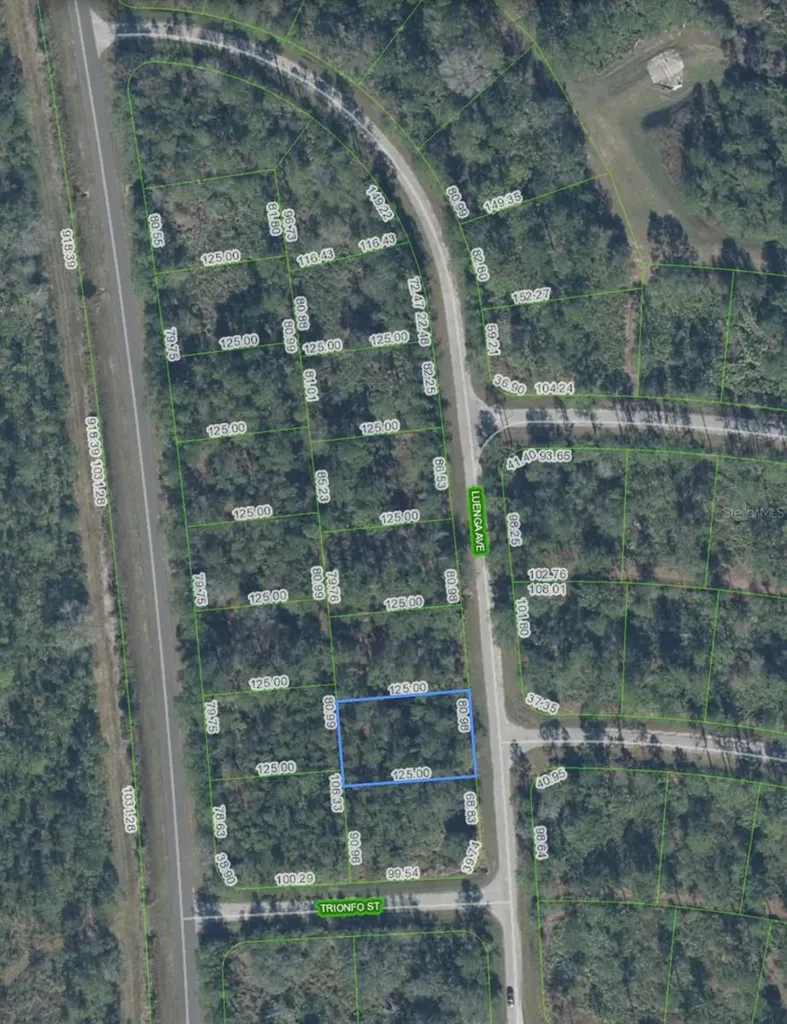 5119 Luenga Avenue Sebring FL 33872