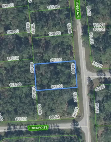 5119 Luenga Avenue Sebring FL 33872